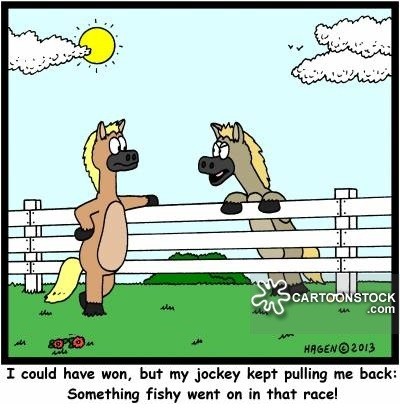 Horse Racing Trading Betfair
