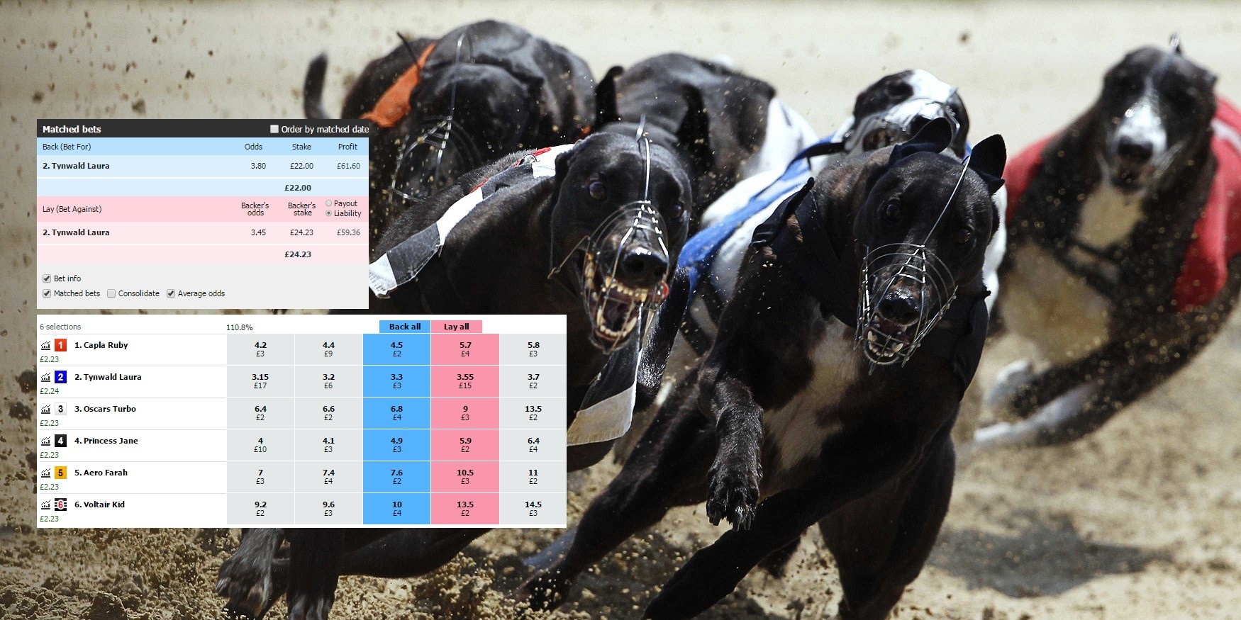 How To Trade Greyhounds On Betfair