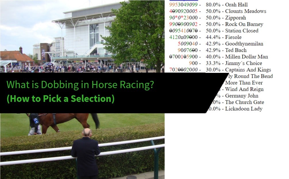 What is dobbing in horse racing