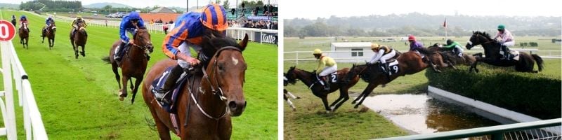 2 UK Racing Types for Horses