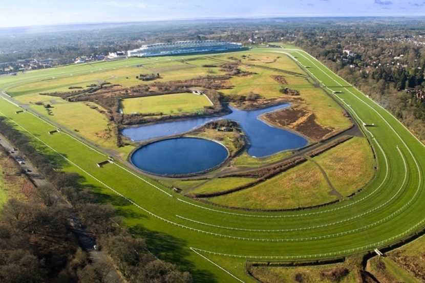 Horse Racing Ground & Track Types Explained Caan Berry