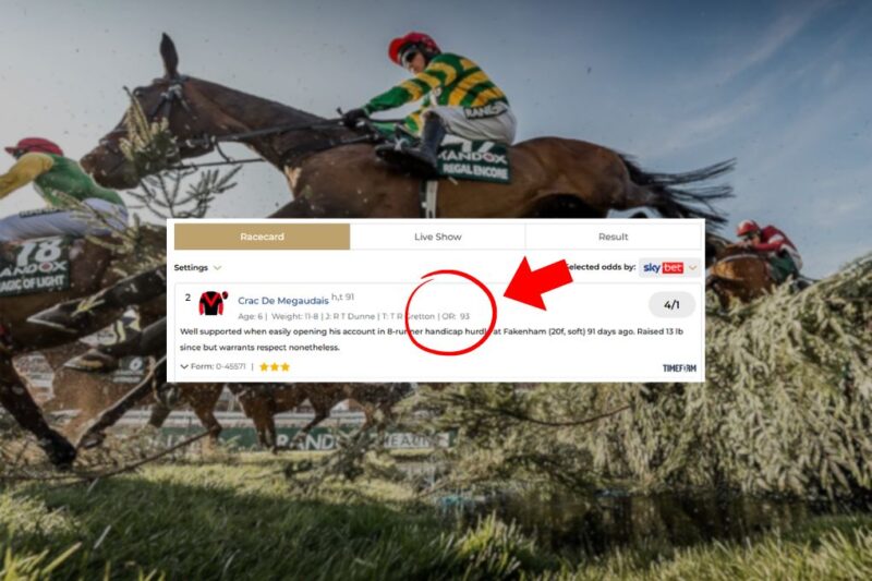 Official Ratings in Horse Racing (BHA Horse Ratings & How They Work)